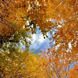 Meet your Posher, Fleming